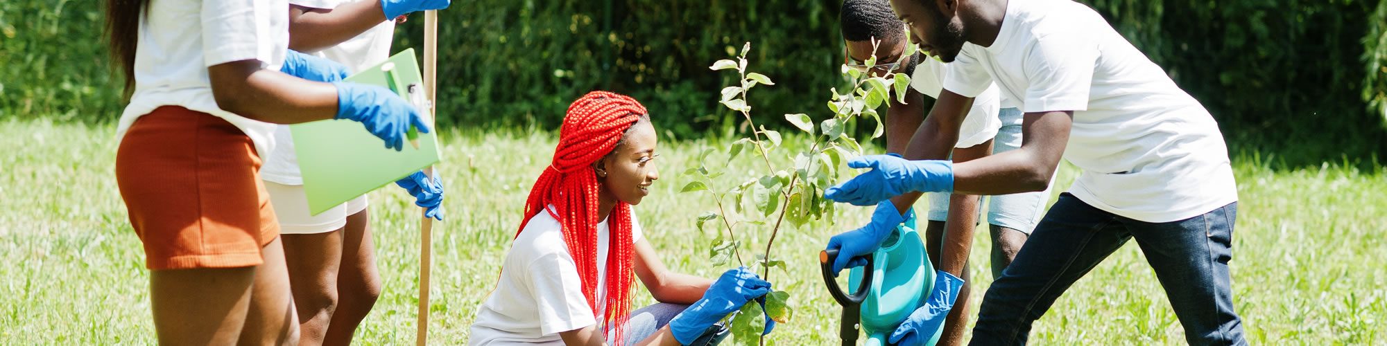 banner-planting-tree